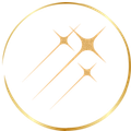Decorative logo with two curved lines and a small star on a white background